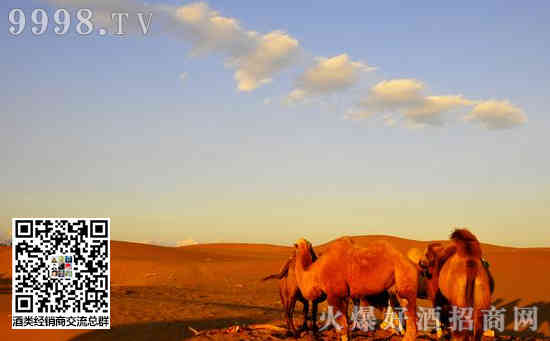 库木塔格沙漠风景名胜区