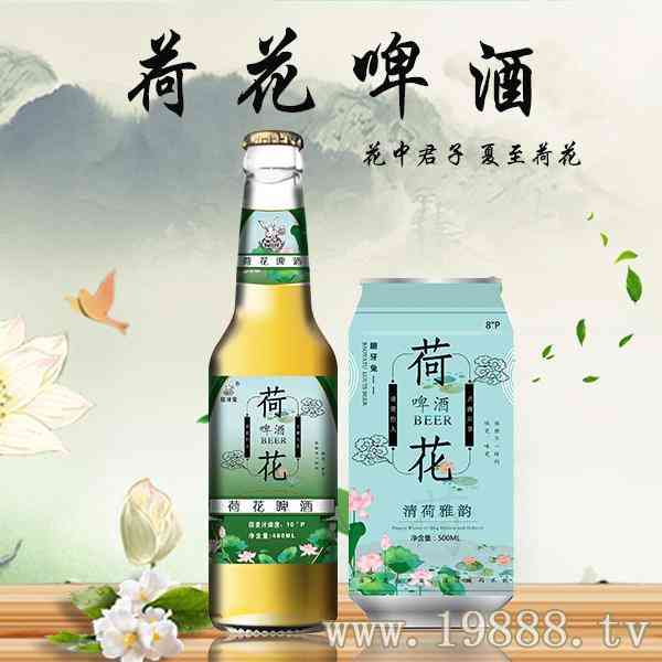 龅牙兔 荷花啤酒招商500ml_华体会体育正规网
网