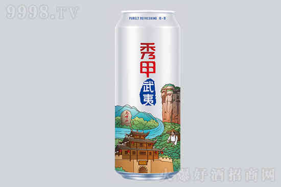 雪津蓝冰秀甲武夷啤酒限量城市包装南平罐500ml