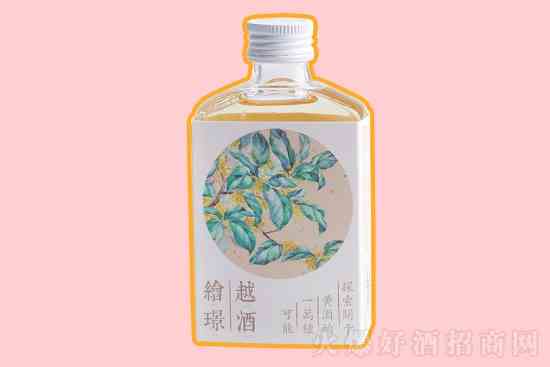 绘璟越酒低度甜酒花果酒创意黄酒100ml