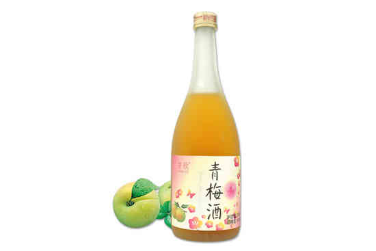 芳歌青梅酒720mL果酒梅子酒完熟梅酒果露酒