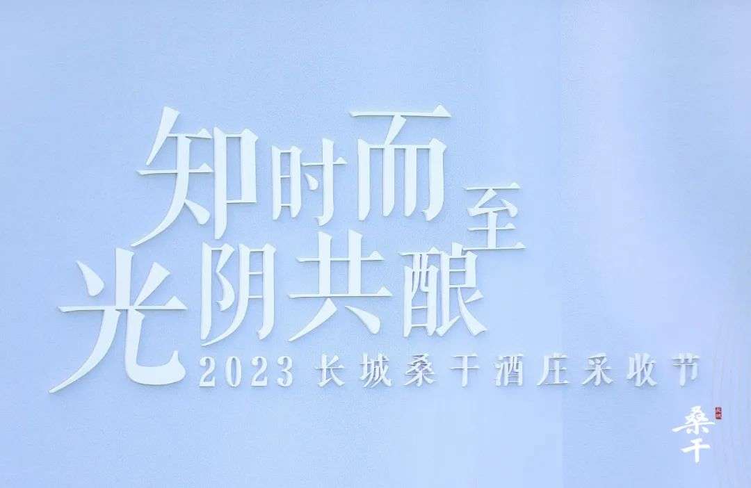 长城桑干酒庄举行了2023采收节开幕式